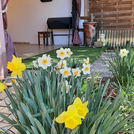 Semesterbostad Haus Am Ring